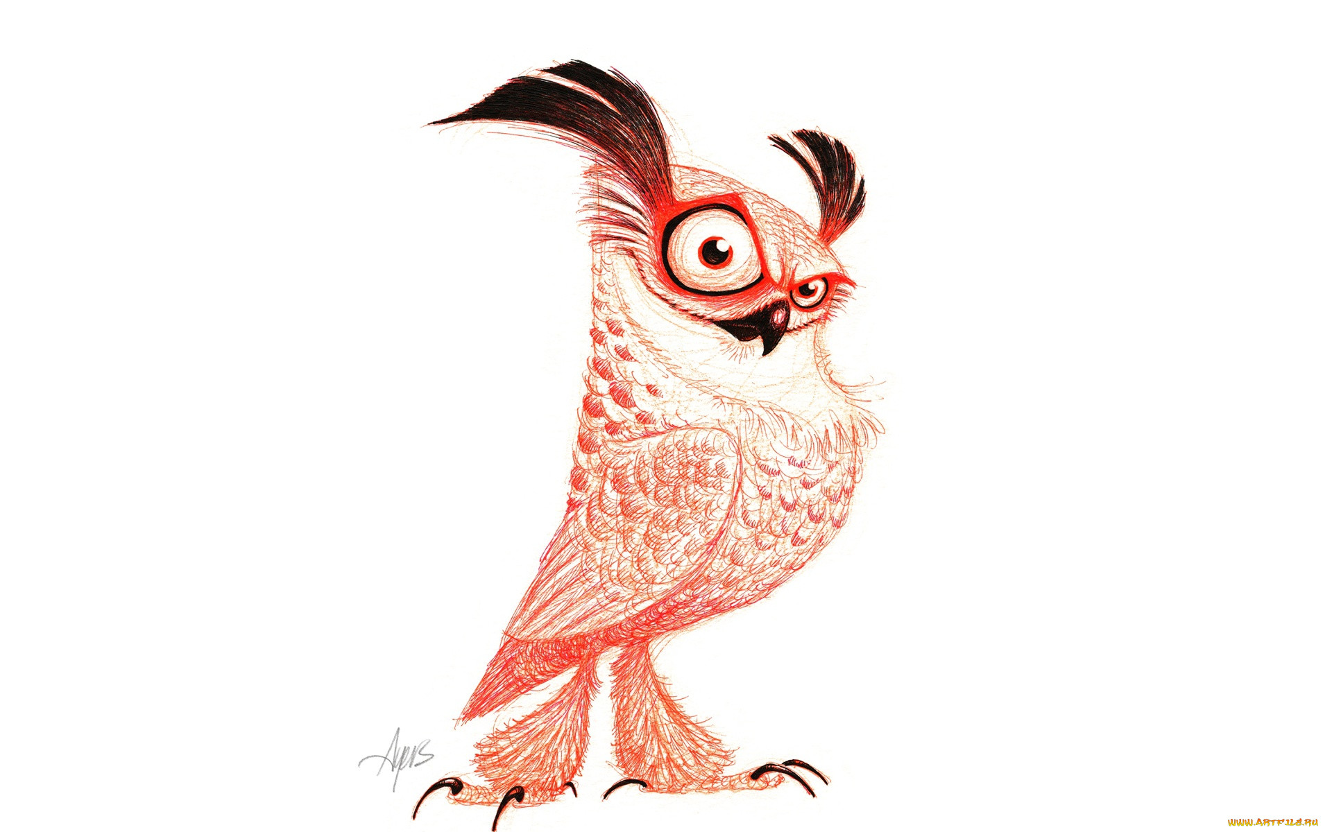 , , pose, piercing, look, drawing, owl